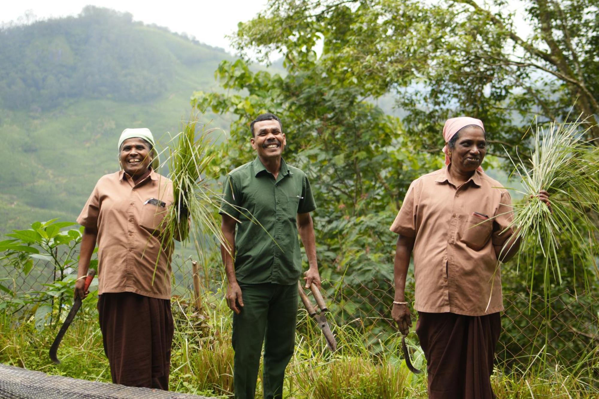 Blackberry Hills Munnar Nature Resort & Spa Экстерьер фото