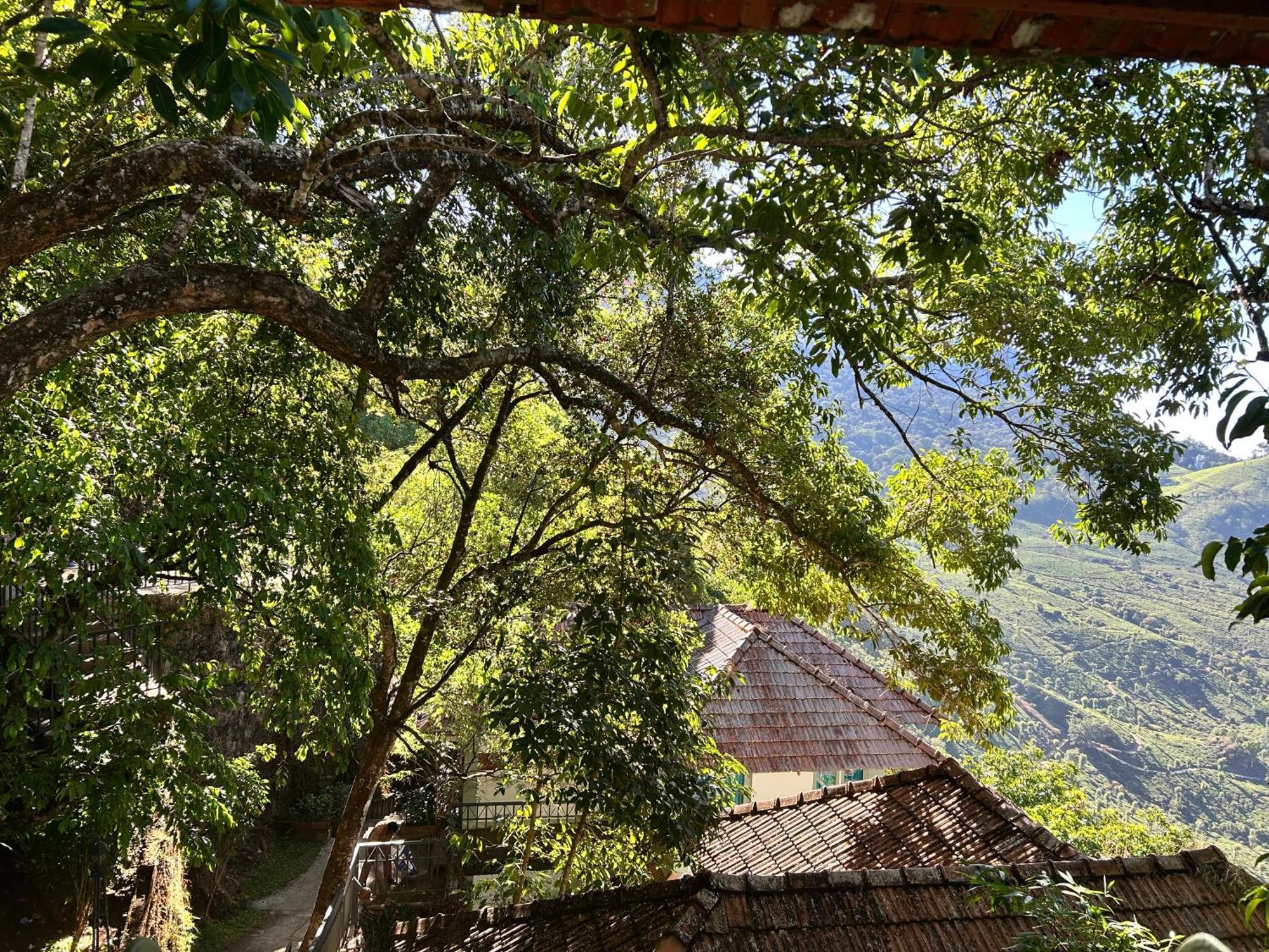 Blackberry Hills Munnar Nature Resort & Spa Экстерьер фото